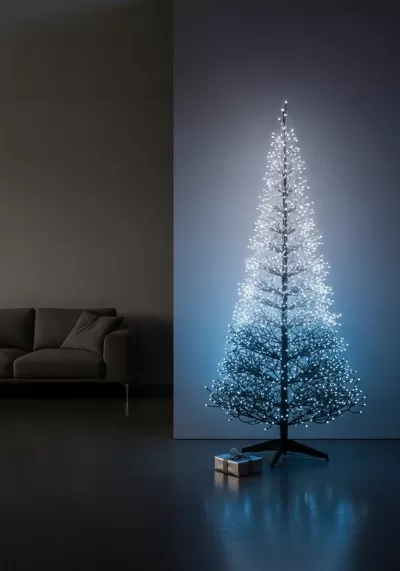 Imagen PNG para descargar